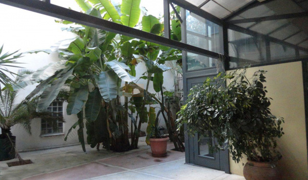 Εξωτερική όψη - Outdoor view